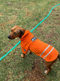 Hi-Vis Dog Hoodie with Logo