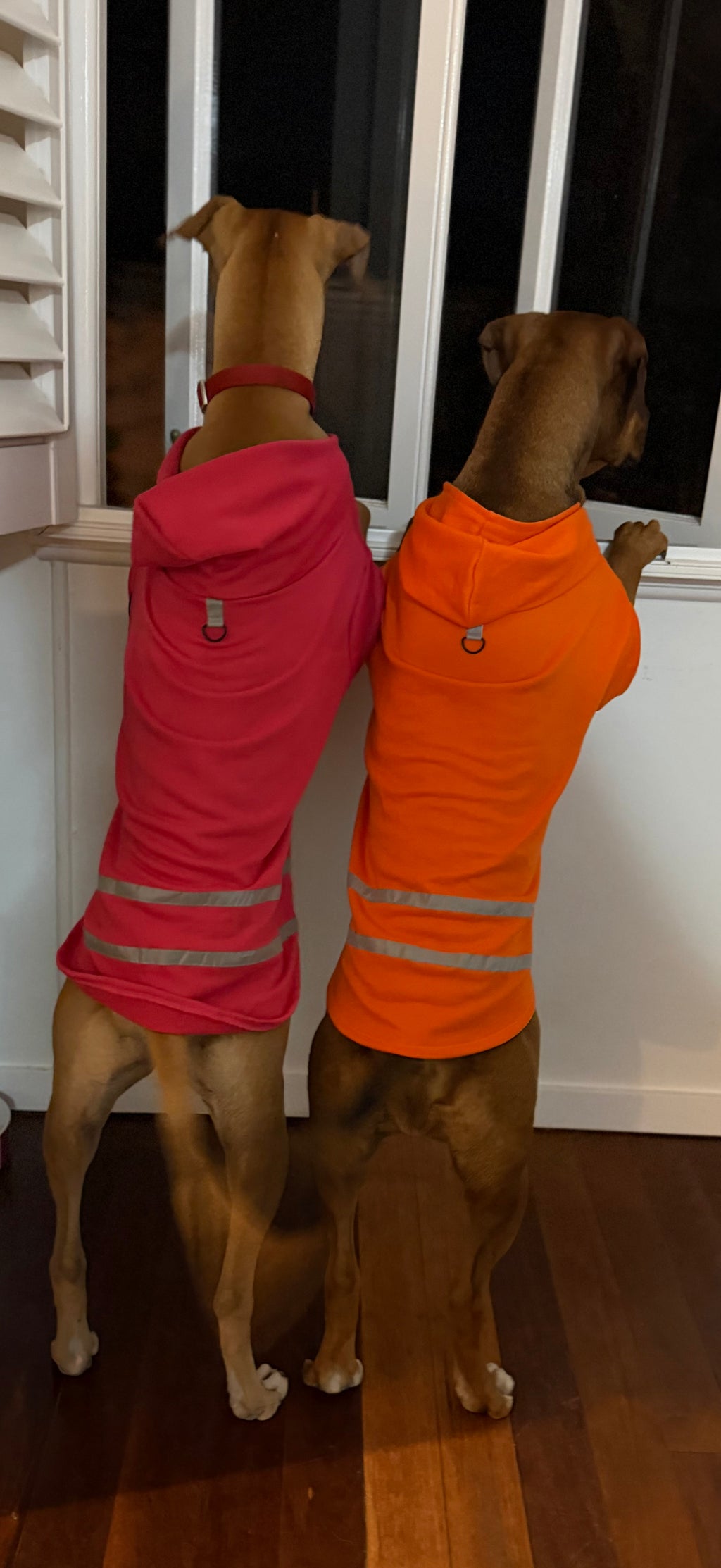 Hi-Vis Dog Hoodie (Pink)