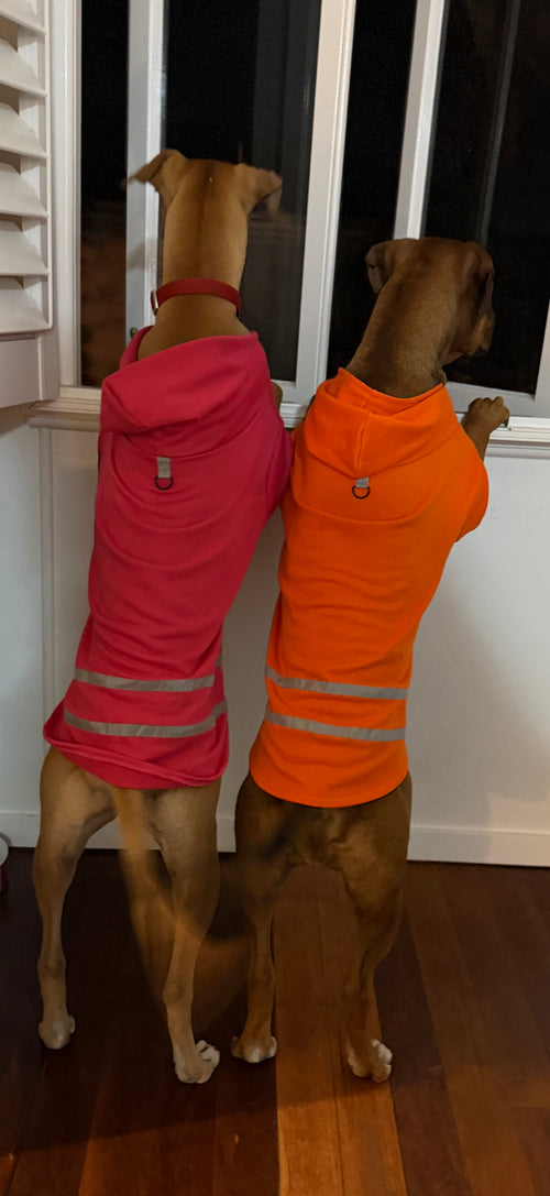 Hi-Vis Dog Hoodie (Pink)