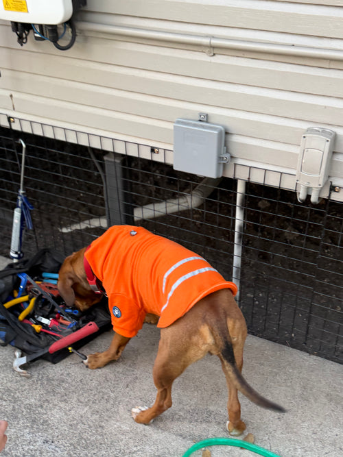 Hi-Vis Dog Hoodie (Orange)