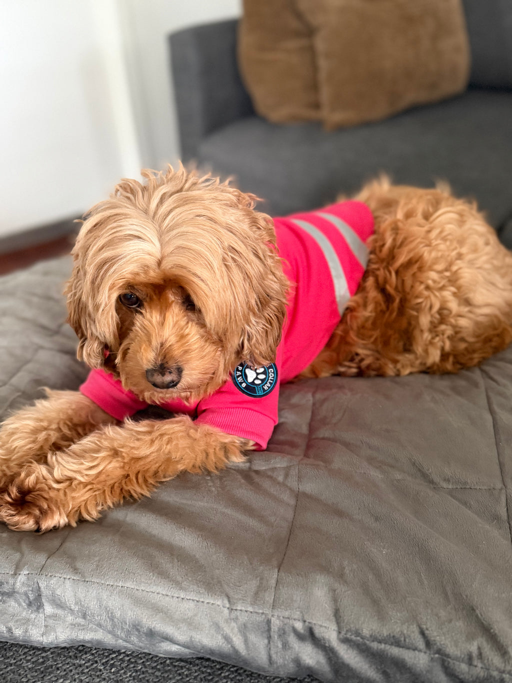 Hi-Vis Dog Hoodie (Pink)