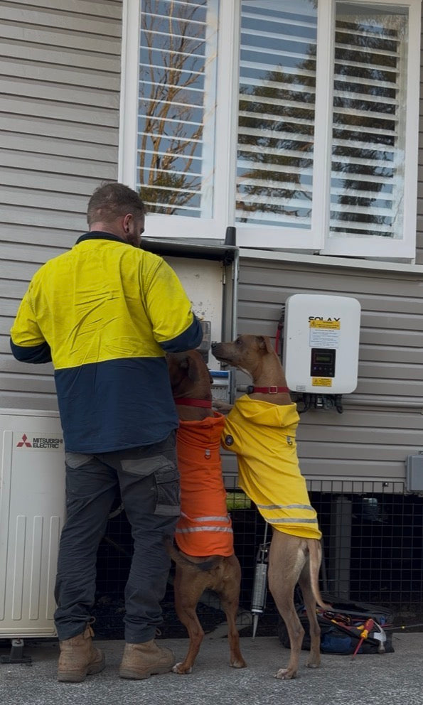 Hi-Vis Dog Hoodie (Orange)