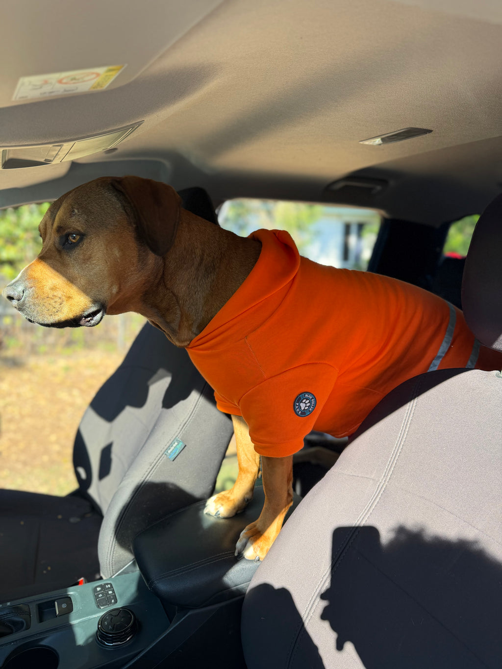 Hi-Vis Dog Hoodie (Orange)