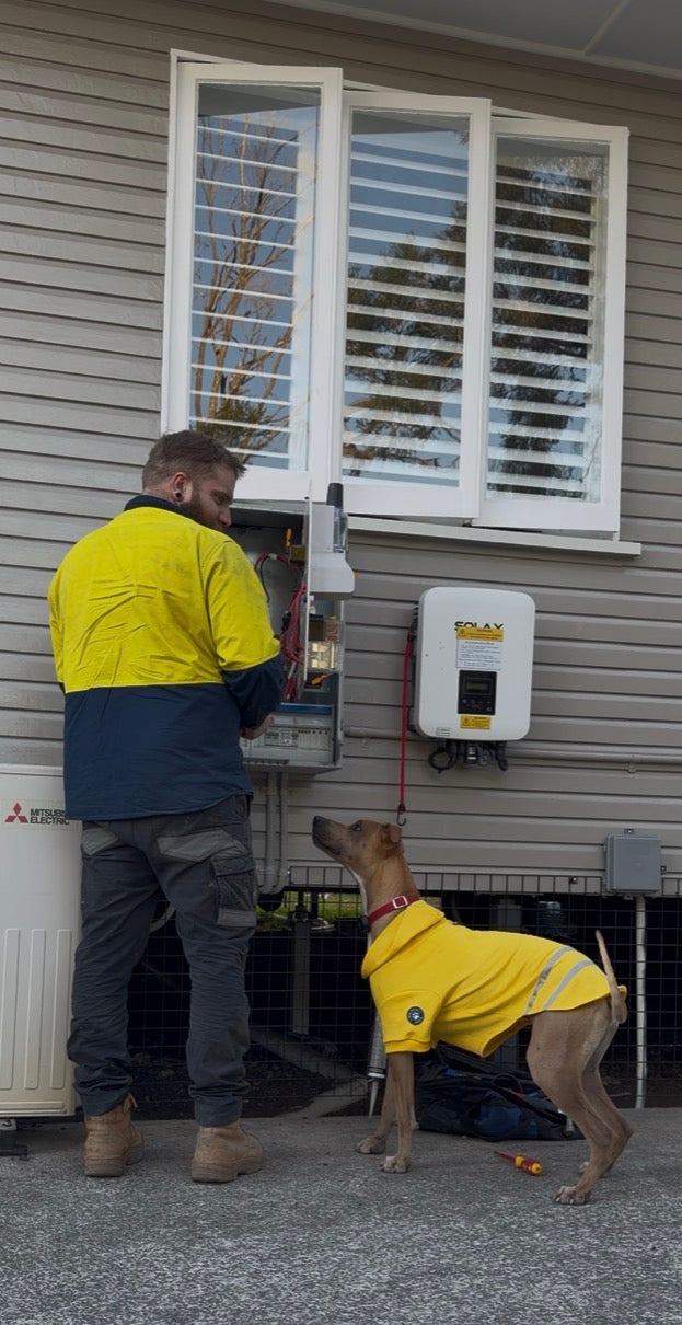 Hi-Vis Dog Hoodie (Yellow)
